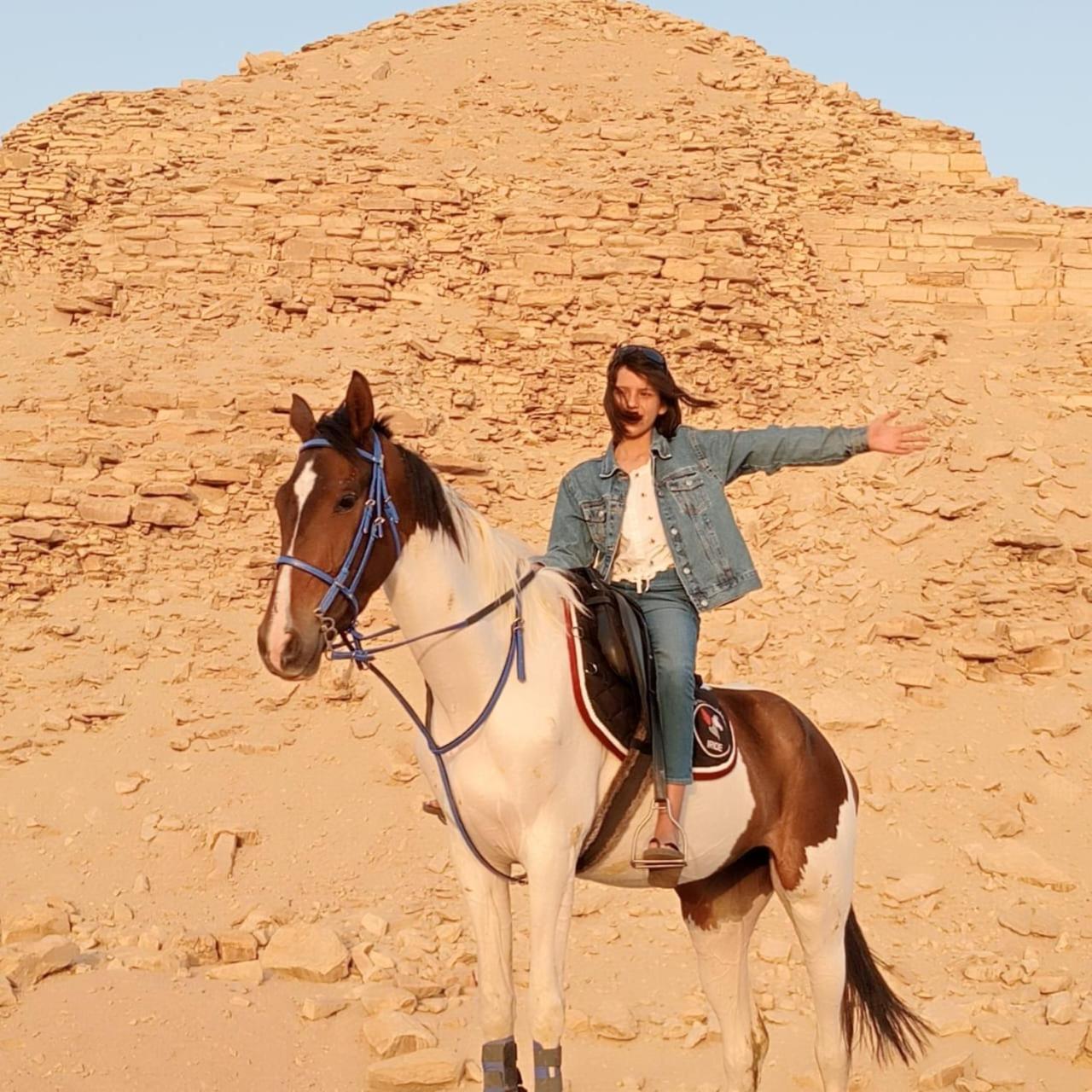 Sakkara Inn Hotel El Hawamdeya エクステリア 写真